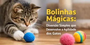 Gato brincando com bola azul texturizada e bolinhas coloridas
