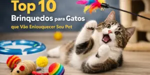 Gato brincando com brinquedos coloridos, brinquedo de pena em destaque