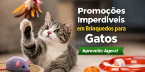 Gato brincando com brinquedo e promoções de brinquedos para gatos