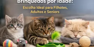 Cena aconchegante com gatos e brinquedos educativos