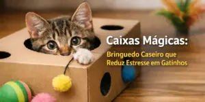 Gatinho fofo em caixa mágica com pompons e bolas