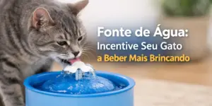 Gato cinza bebendo em fonte azul divertida indoor