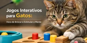 Gato brincando com quebra-cabeça de madeira interativo