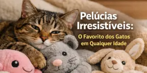 Gato malhado relaxando com brinquedos de pelúcia em manta aconchegante