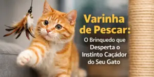 Gato laranja brincando com varinha de pescar brinquedo para gatos